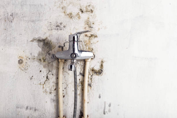 Best HVAC Mold Remediation in Sun Valley, PA